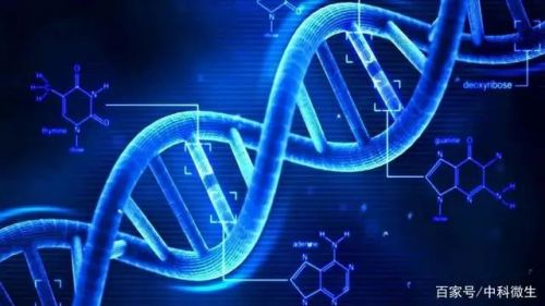 液体活检：CTCs、ctDNA和cfDNA的区别在哪