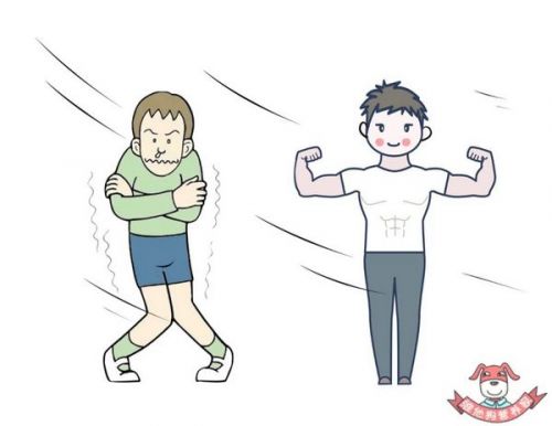 胆固醇越低越好？它的危害可比你想象中要严重！