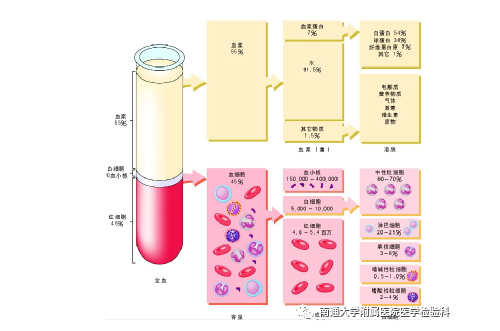 不同寻常的“低”纤维蛋白原的少见病例，患病原因竟是...