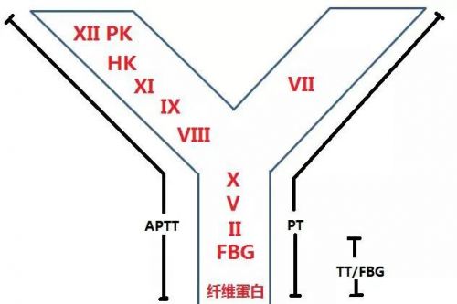 一文读懂凝血五项