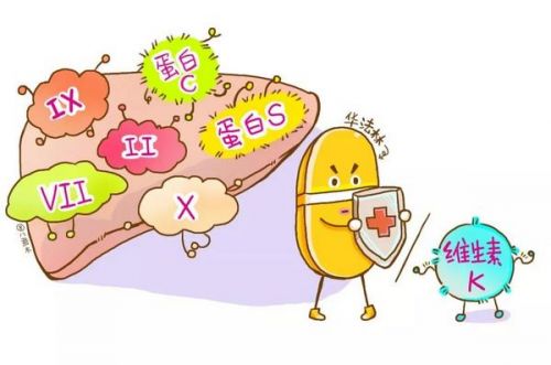 华法林是怎样发挥抗凝作用的？