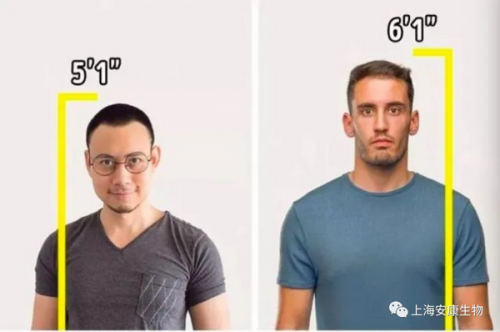 打破你的旧有认知：9个基因科普冷知识颠覆你的想象！