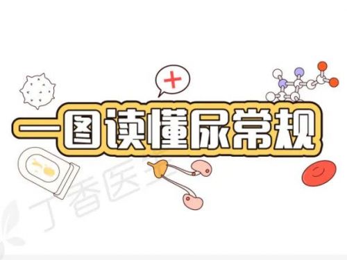 肾好不好，一杯尿就知道