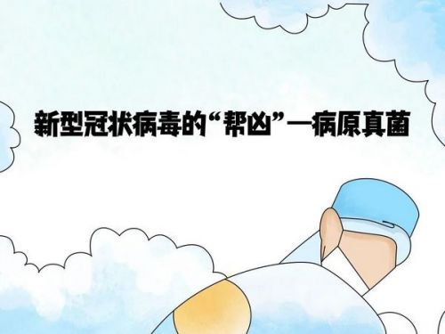 为新冠病毒推波助澜的“帮凶”——病原真菌