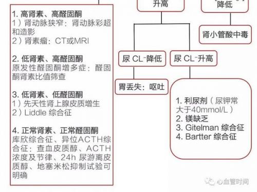 反复发作的低血钾，原来是这个原因
