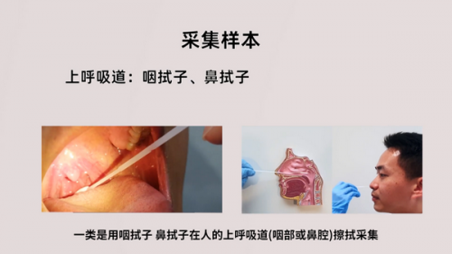 科普 | 新冠病毒核酸检测（荧光PCR法）原理