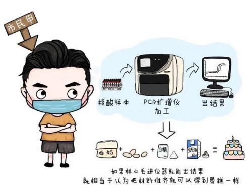 核酸检测报告是怎么来的？为你揭晓全过程！
