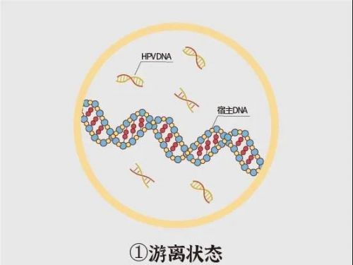 口咽癌居然也跟HPV 有关