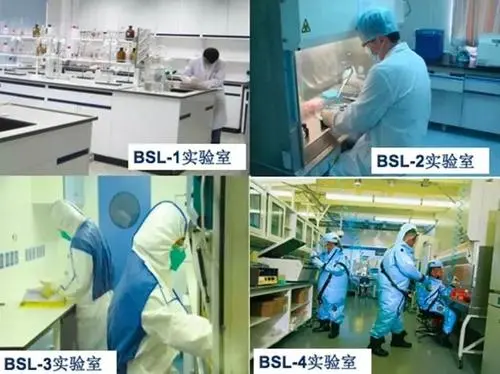 生物安全实验室“四兄弟”
