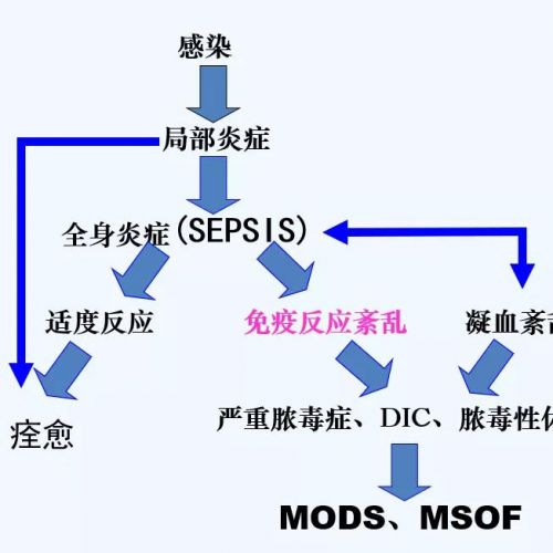 ICU“风暴”来袭，这类检验为何如此关键？