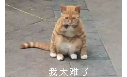 一天 15 块，这样的核酸检测工作我还能做多久？