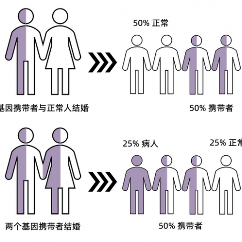 AA 和 Aa 生出了 aa？接连引产后，这个意外发现让医生欲言又止 ...