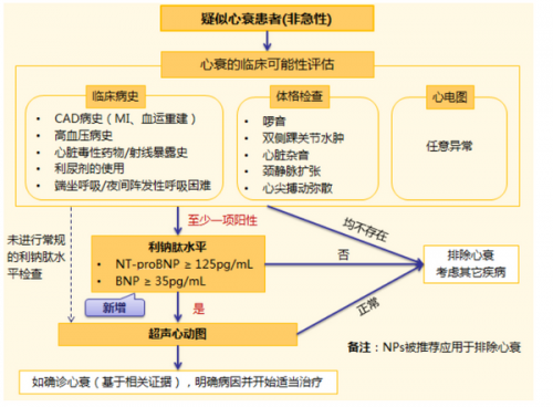 这个“杀手”有点冷，盘点评估心脏功能的三大检验指标