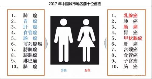 肿瘤伴随诊断是什么？