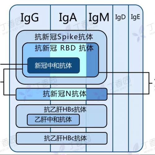 为什么我不建议你自己去测新冠抗体