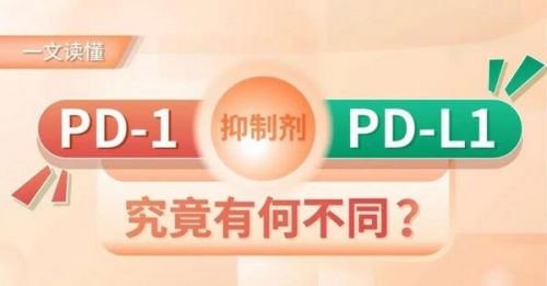PD-1与PD-L1的6大区别