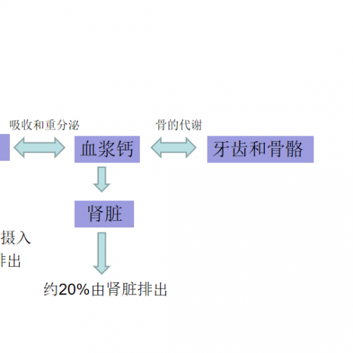 用生化的角度发现肿瘤骨转移！附 4 个案例分析