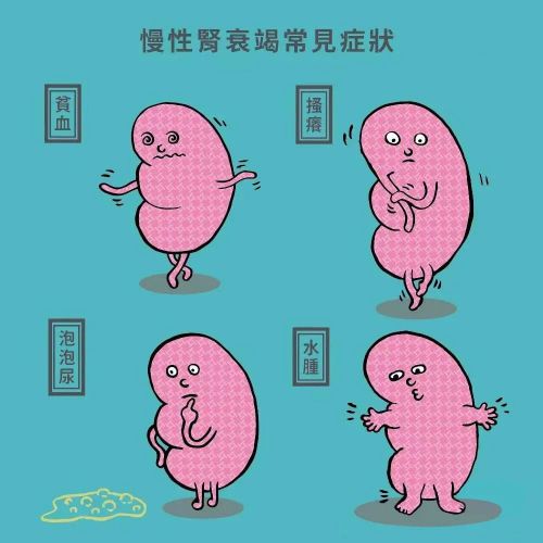 谨“肾”行事