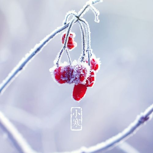 疫情过后！第三方检验所该怎么破局