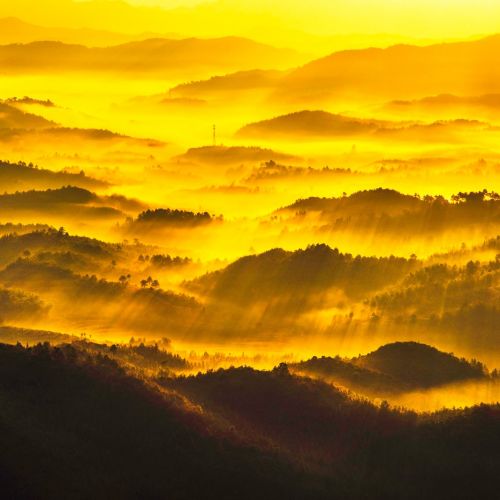 推行第四针新冠疫苗？