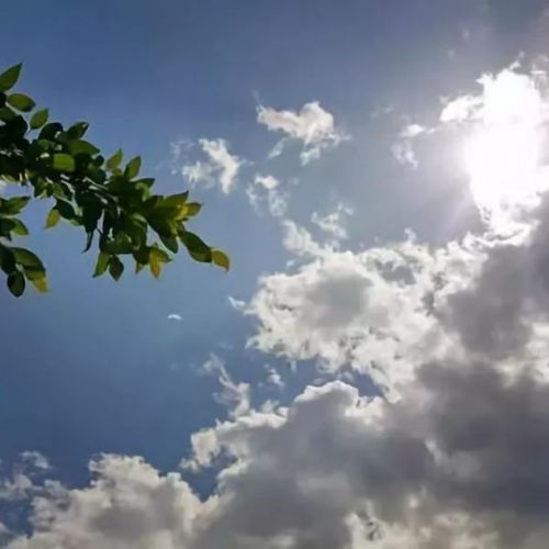 收藏！2022年全国将召开的检验医学学术会议盘点（授国家级继教学分） ...