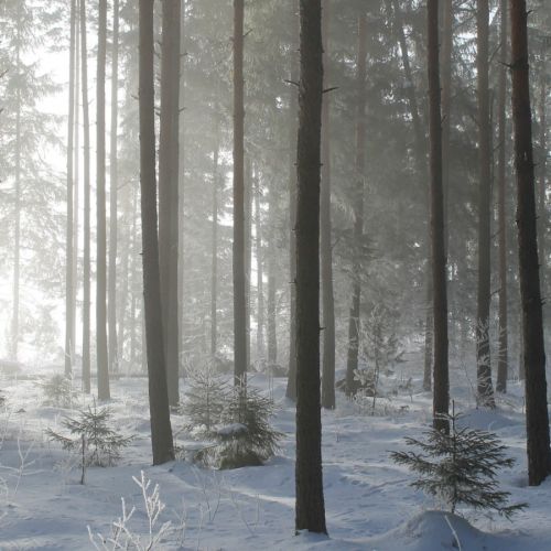 做室间质评踩过的那些坑