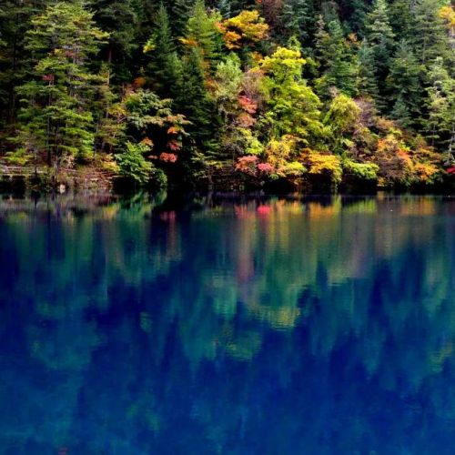 【冯仁丰】冯仁丰和汪子伟对检验现状的讨论（2）