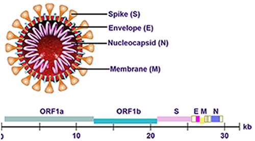 检验窗口常遇问题的高质量回复，你值得拥有！