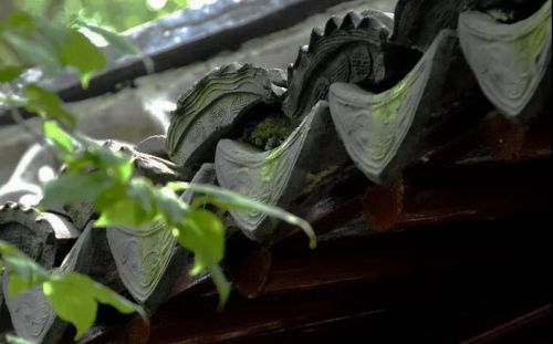 【冯仁丰】系列讲座 1 怎样做检验 上