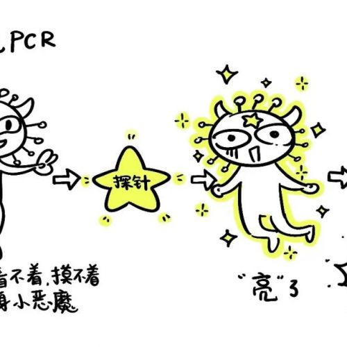 一份核酸检测报告是怎样诞生的？看完后我都不好意思催结果了 ...