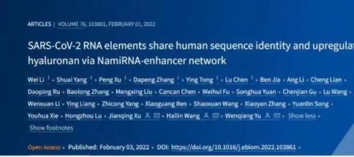 中国研究者发现新冠致病重要靶标！