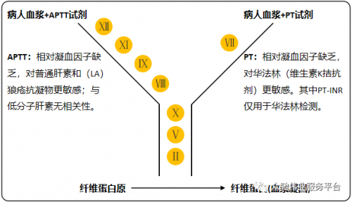 凝血四项测试结果影响因素