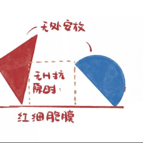 注意！这些血型不仅容易测错，还容易被爸爸误会非亲生！
