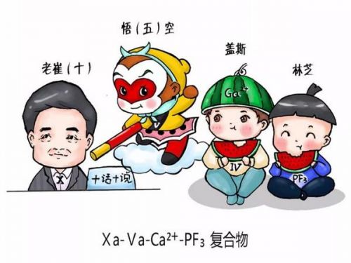 凝血再也不用担心记不住：最强的凝血瀑布漫画解读！