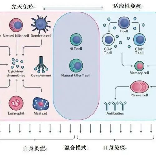 白细胞介素2(IL-2)及临床应用
