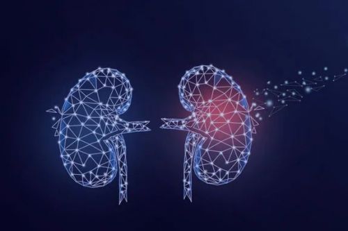 尿蛋白突然从“++”变成“±”，究竟是怎么回事？