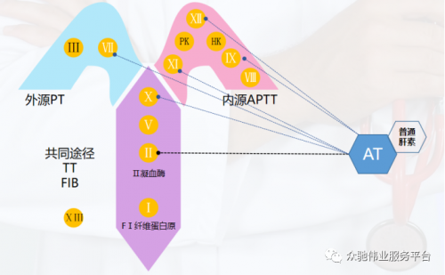普通肝素为何影响凝血四项测试结果