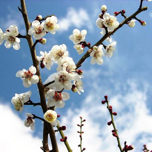 检验科及实验室消毒隔离制度