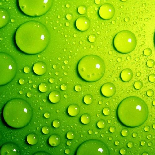 考试知识点：免疫学的 60 个知识点