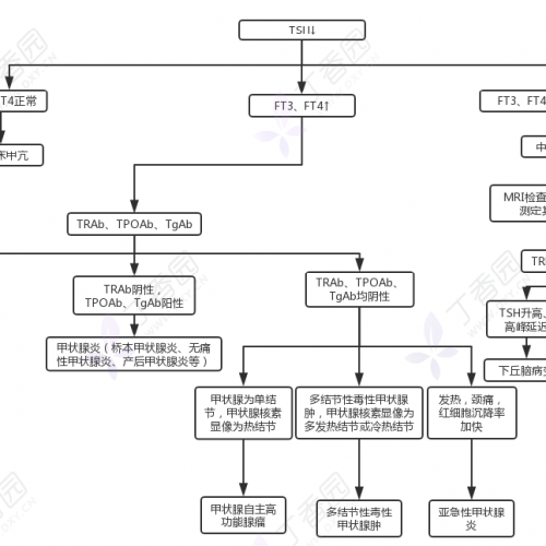 甲功检验单不会看？2 张流程图帮你理清
