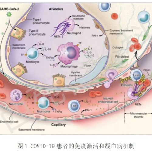新冠肺炎患者的凝血功能都有哪些变化？大部分检验人还不了解 ...