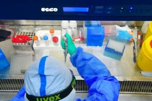 PCR 实验室核酸检测的常见问题及异常结果分析