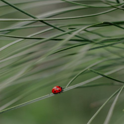 生化结果出现负值怎么办？