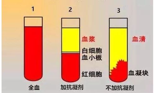 ​全血、血清、血浆样本对应检测项目