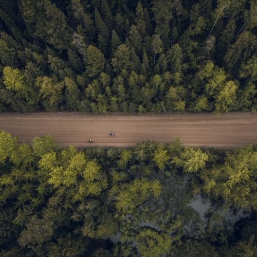 检验图谱 | 尿液结晶及临床意义
