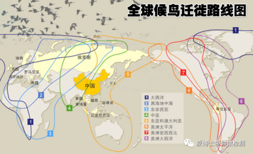 禽流感席卷欧洲，对人类有何影响?
