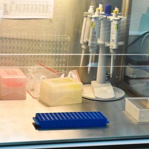 PCR 实验室可开展的检验项目，一文汇总
