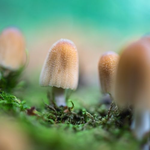 干货PPT：肿瘤标志物的应用组合和临床意义