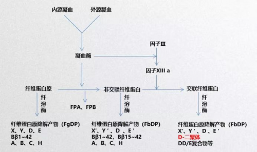 检验项目中常见几大【CP】，你了解吗？