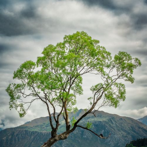 核酸阳性，自测抗原阴性，怀疑检测机构造假合理吗？